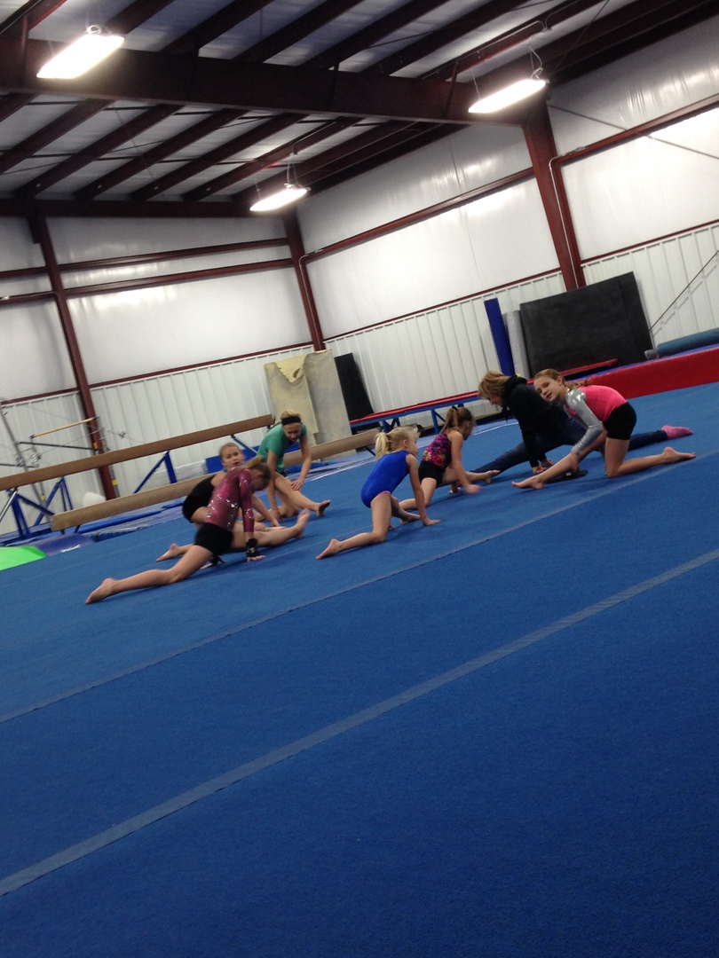 Salute Gymnastics Who We Are